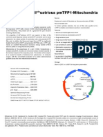 pmTFP1 Mitochondria