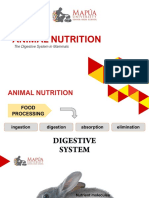 CO5-1 Animal Nutrition