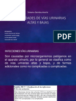 Equipo 2 Infección Vías Urinarias Altas y Bajas