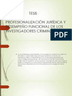 Profesionalización Jurídica y Desempeño Funcional de Los Investigadores