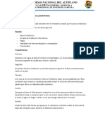 INFORME DE LABORATORIO Hidraulica II