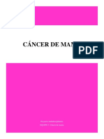 Equipo 3 - Cancer de Mama