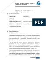 Plan de Trabajo de Salud Mental 2