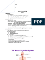 Detailed Lesson Plan Digestive System