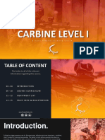 Carbine01 CZ 2017 Flyer