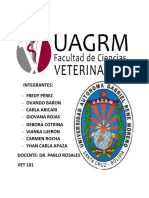 Informe Osteologia Comparada Equino-Ovino