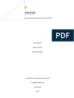 Segunda Parte Informe de Consultoría Sobre Control Acti # 8