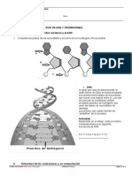 Guía de ADN y Cromosomas