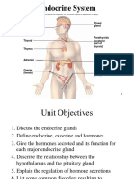 Endocrine System