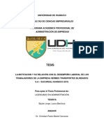 Informe Final Tesis