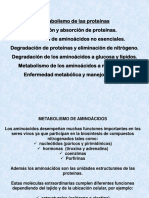 Metabolismo de Proteinas 662019