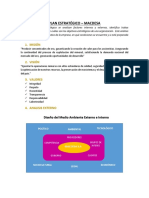 Plan Estrategico - Macdesa