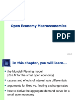 Open Economy Macroeconomics