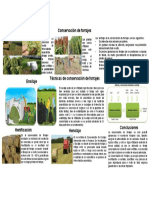 Infografia - Importancia de La Conservacion de Forrajes