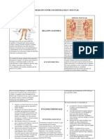 Cuadro Comparativo Entre Los Sistemas Oseo y Muscular