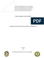 Trabalho Final - Saúde Da Comunidade II