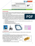 Actividades Citología