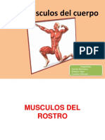 Portafolio Anatomia