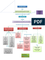 Mapa Conceptual