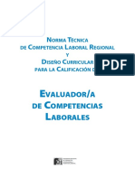 Norma Tecnica Evaluador Por Competencias