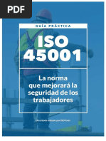 Ebook Iso 45001 Seguridad Salud Trabajo 1pdf