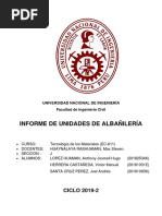 Informe N°5 (Albañilería) 