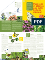 4 Papillon PDF