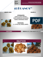 MUEGANOS