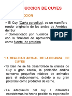 Produccion de Cuyes PDF