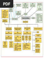 MAPA CONCEITUAL - Toxicodinâmica