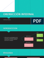 Obstruccion Intestinal