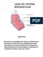 Sistema Cardiovascular