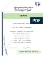 Ensayo Curriculo