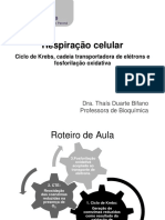 12 - Ciclo de Krebs e Cadeia Transportadora