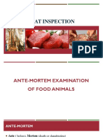 2-Antemortem