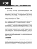 Trabajo Práctico de Derecho Comercial II Sociedad Anónima