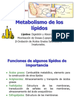 Lipidos y Beta Oxidacion de AG