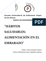 Hábitos Saludables Alimentación en El Embarazo