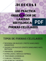 Histologia I Formas Celulares Grupo E11