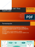 Elaboración Del Vino Gasificado