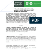 Bases Convocatoria Pdi 2019 Con Observaciones PDF