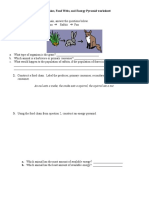 Food Chains Food Web and Energy Pyramid Worksheet