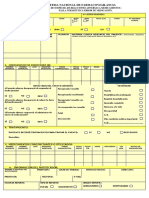 Ficha Amarilla PDF