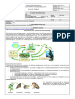 Circulacion de La Energia