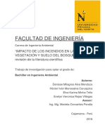 IMPACTO DE Los INCENDIOS EN La VEGETACIÓN