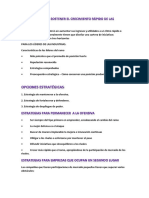 Estrategias para Sostener El Crecimiento Rápido de Las Compañías