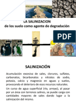 2.1 La Salinizacion PDF