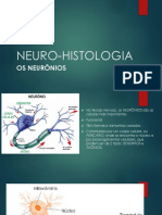 Neuro Histologia PDF