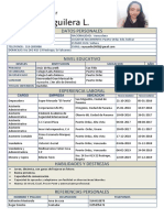 Curriculum Rayvic2