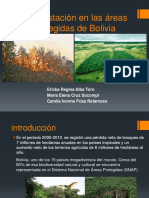 Deforestación en Las Áreas Protegidas de Bolivia - Expo